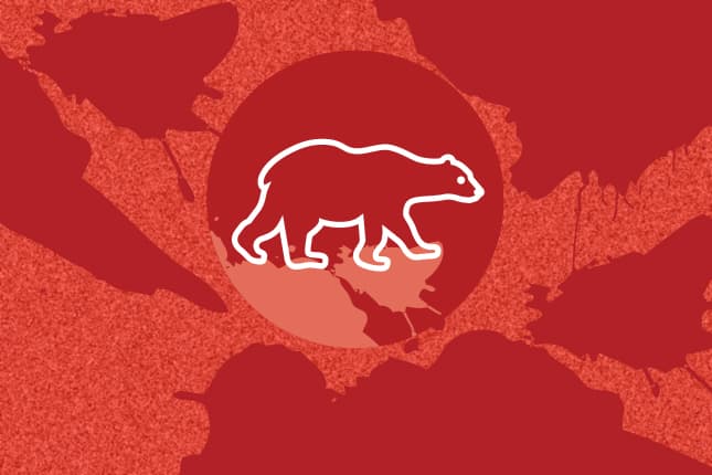 Our Planet | Polar Bear