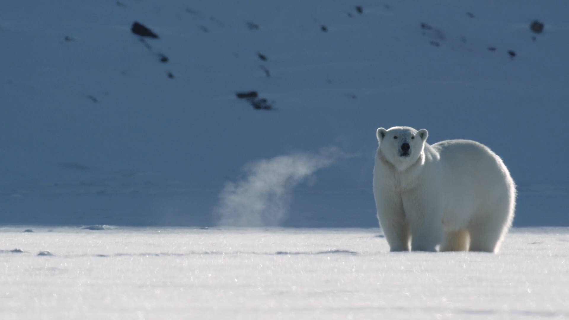 Our Planet Frozen World | informacionpublica.svet.gob.gt